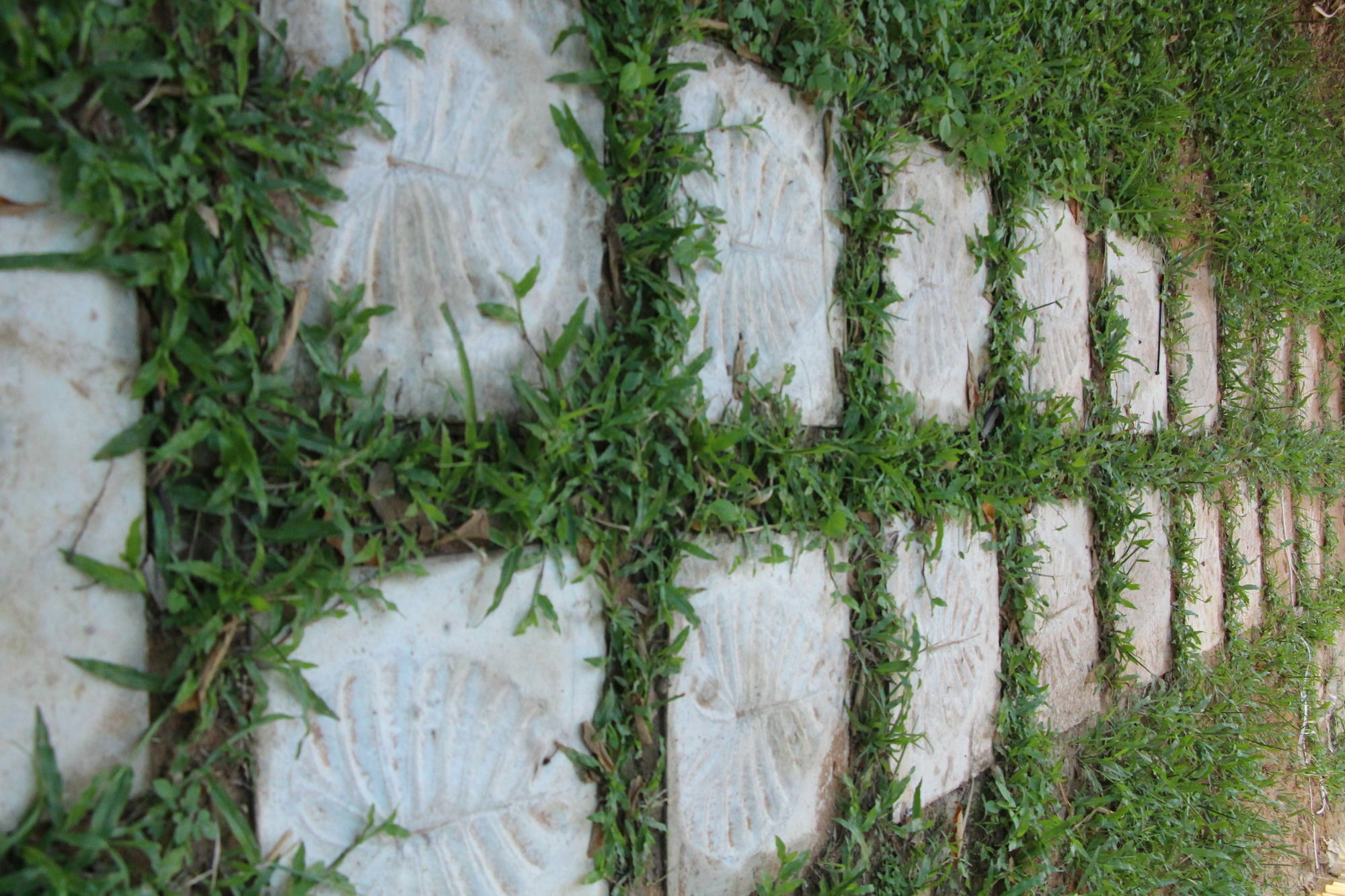 Areca Stay Siem Reap Buitenkant foto
