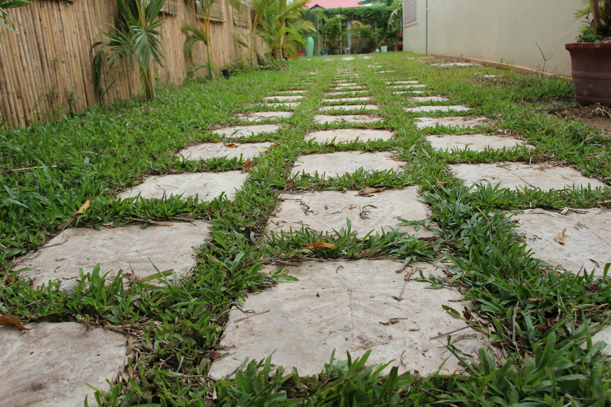 Areca Stay Siem Reap Buitenkant foto
